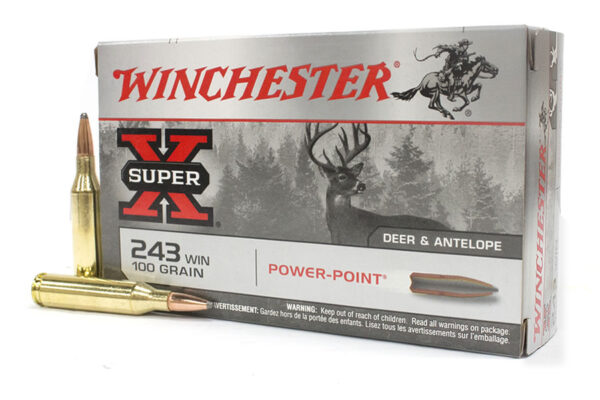 243 Win 100 gr Power Point Super X 20/Box