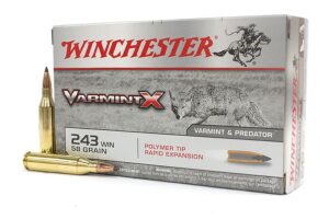 243 Win 58 gr Polymer Tip Varmint X 20/Box