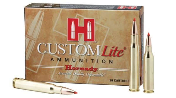 243 Win 87 gr SST Custom Lite 20/Box