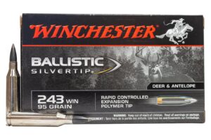 243 Win 95 gr Ballistic Silvertip 20/Box