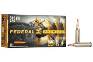 243 Win 95 gr Nosler Ballistic Tip Vital-Shok 20/Box