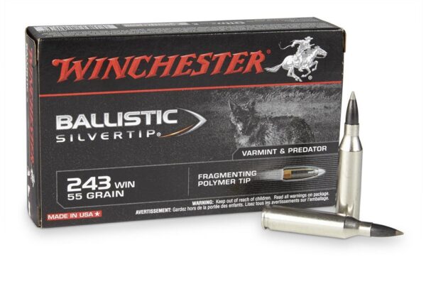 243 Winchester 55 Grain Ballistic Silvertip 20/Box