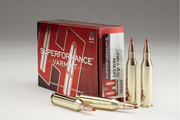 243 Winchester 75 gr V-Max Superformance Varmint 20/Box