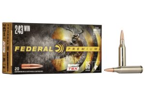 243 Winchester 85 gr Barnes TSX Hollow Point 20/Box