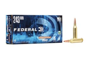 243 Winchester 85 Grain Copper Hollow Point Power-Shok 20/Box