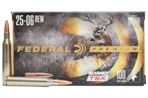 25-06 REM 100 gr Barnes TSX Hollow Point 20/Box