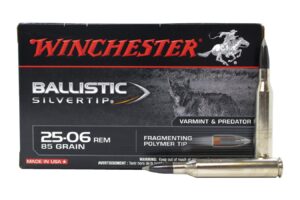 25-06 Rem 85 gr Ballistic SilverTip 20/Box