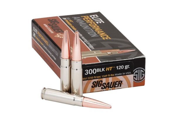 300 Blackout 120 gr Elite Hunting Solid Copper 20/Box