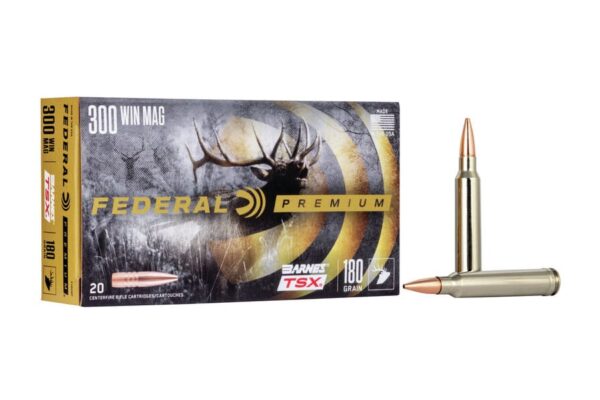 300 WIN MAG 180 gr Barnes TSX Hollow Point 20/Box