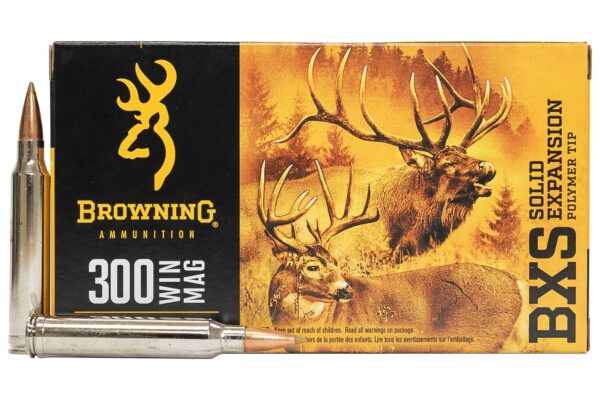 300 WIN MAG 180 gr BXS 20/Box