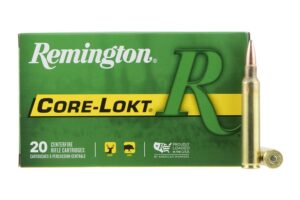 300 Win Mag 180 gr PSP Core-Lokt 20/Box