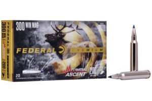 300 Win Mag 200 gr Terminal Ascent 20/Box