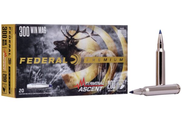 300 Win Mag 200 gr Terminal Ascent 20/Box